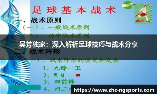 吴芳独家：深入解析足球技巧与战术分享